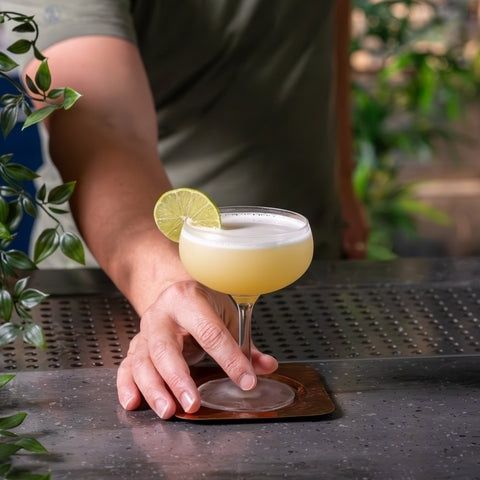 Ljus sourcocktail i coupeglas med limeklyfta på bardisk